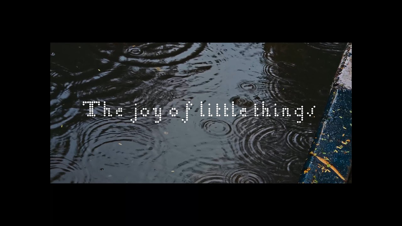 The Joy of Little Things film poster