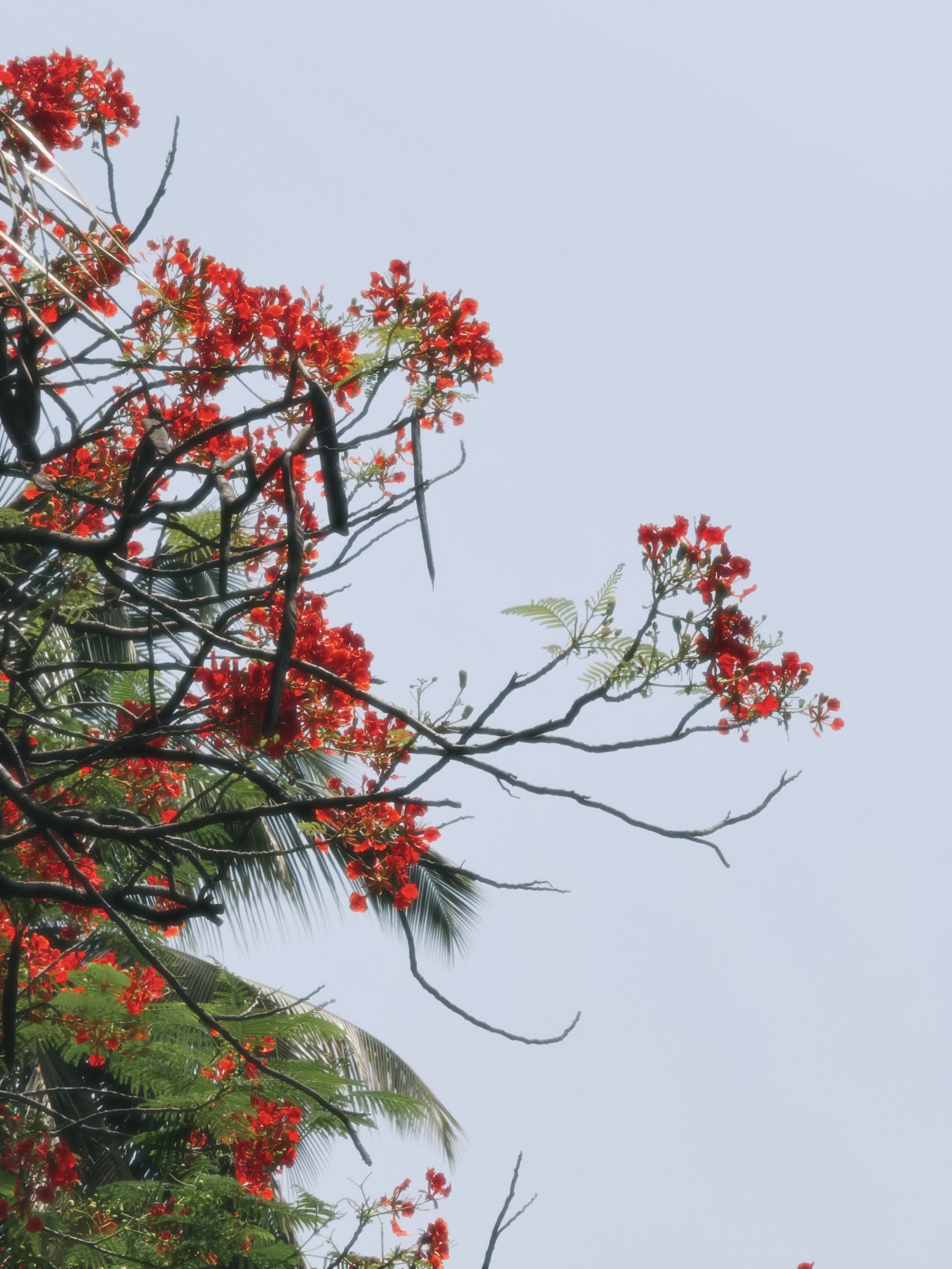 Photograph by Viraj Kabbur